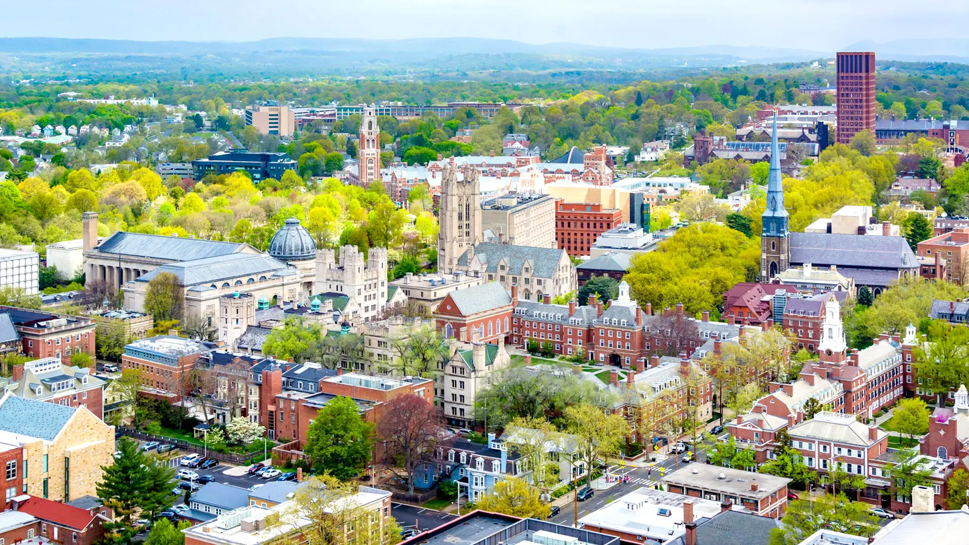 gringas_connecticut_connecticut_banner