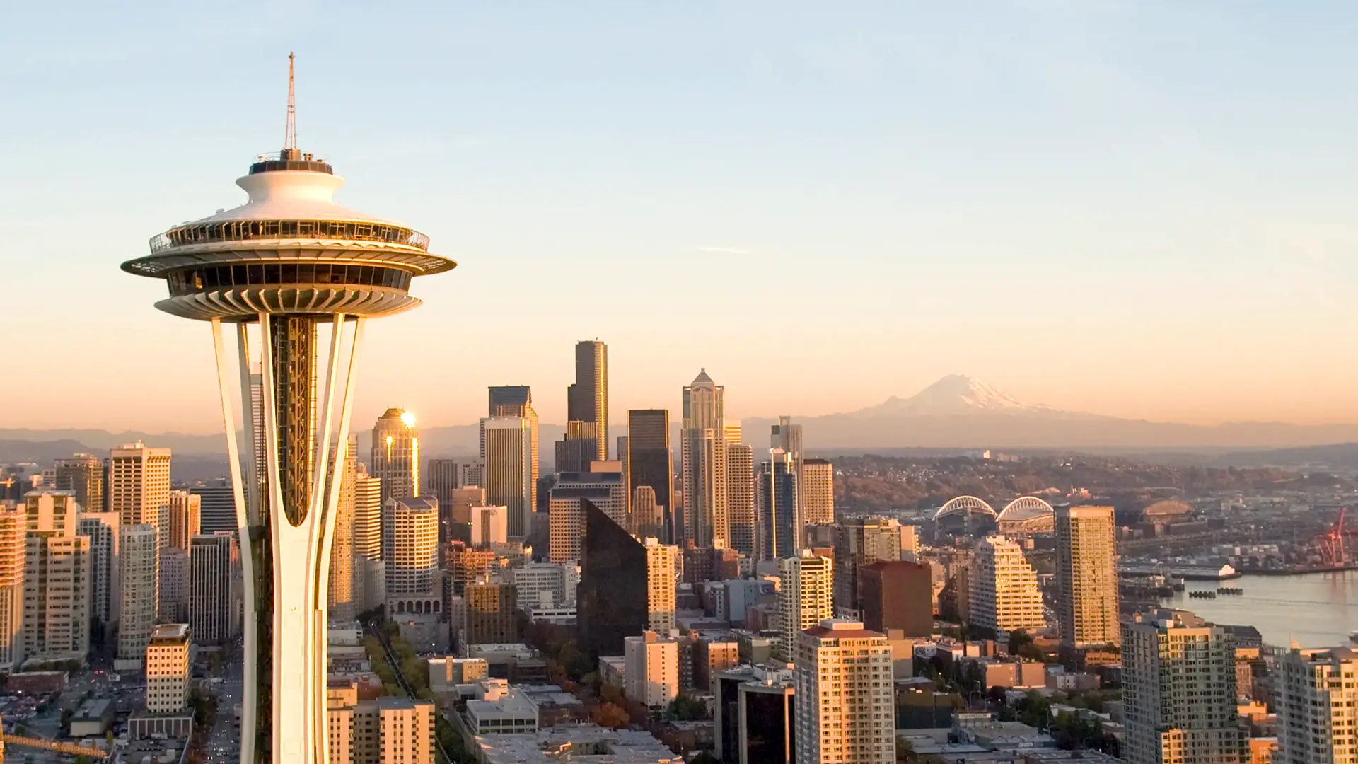 gringas_washington_seattle_banner.webp